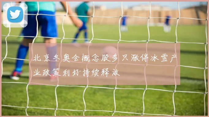 北京冬奥会概念股多只涨停冰雪产业政策利好持续释放