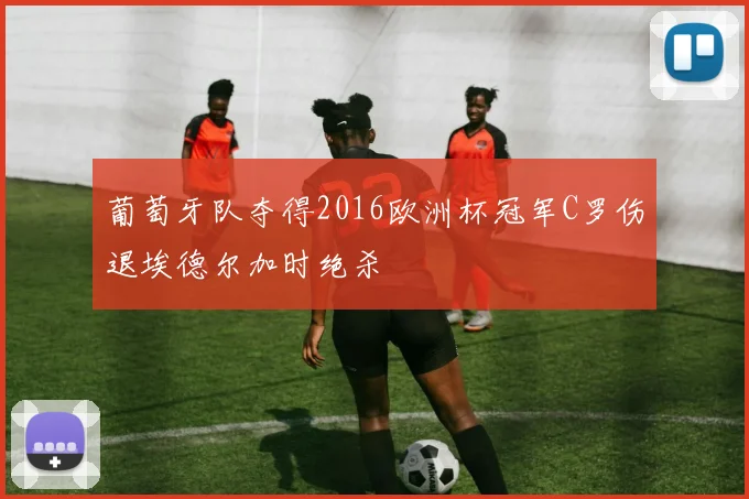 葡萄牙队夺得2016欧洲杯冠军C罗伤退埃德尔加时绝杀