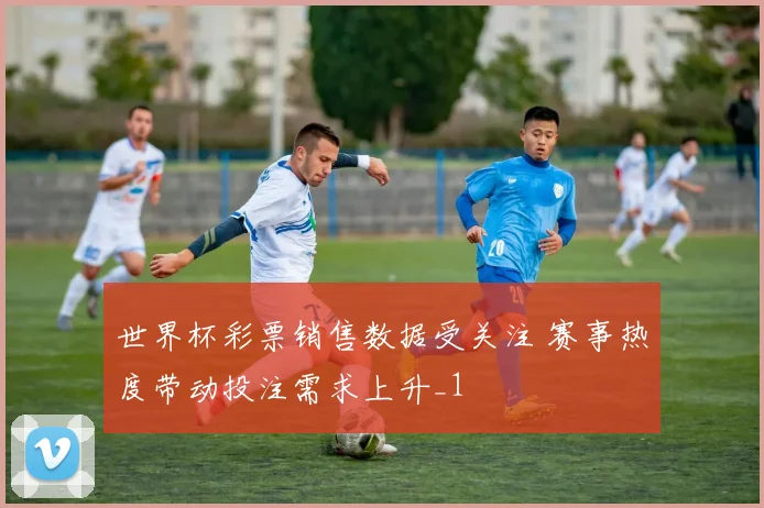 世界杯彩票销售数据受关注 赛事热度带动投注需求上升_1