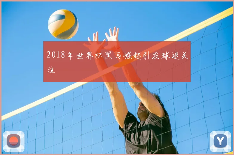2018年世界杯黑马崛起引发球迷关注