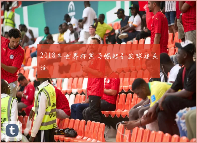 2018年世界杯黑马崛起引发球迷关注